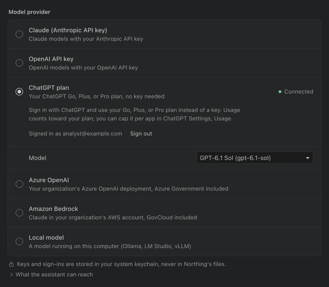 Assistant settings with the Model provider choices and the selected provider's connection controls.