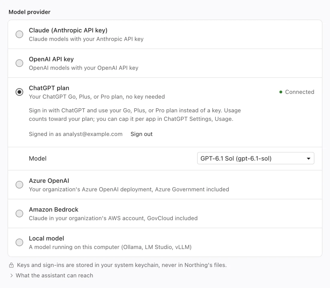 Assistant settings with the Model provider choices and the selected provider's connection controls.